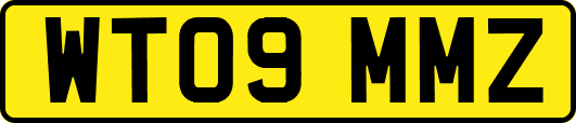 WT09MMZ