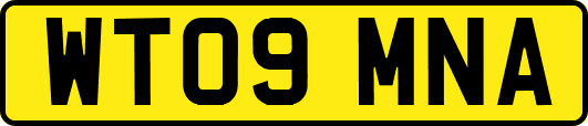 WT09MNA