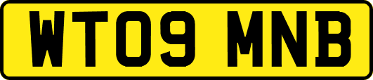 WT09MNB