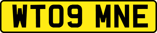 WT09MNE