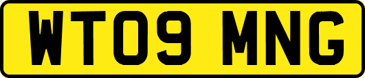WT09MNG