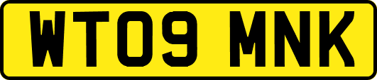 WT09MNK