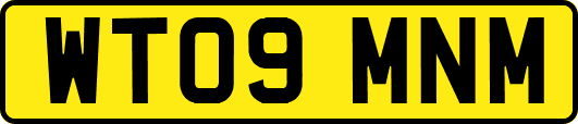 WT09MNM