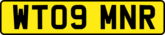 WT09MNR