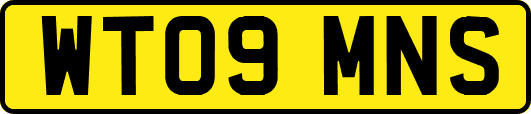 WT09MNS