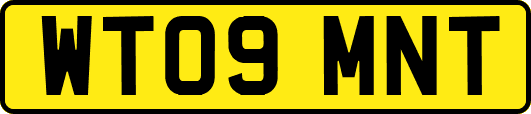 WT09MNT