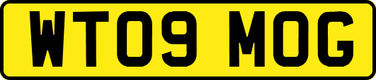 WT09MOG