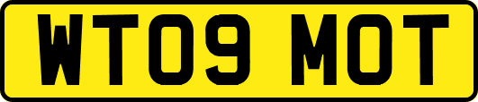 WT09MOT