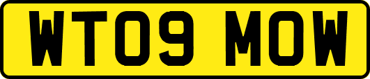 WT09MOW