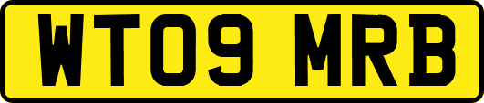 WT09MRB