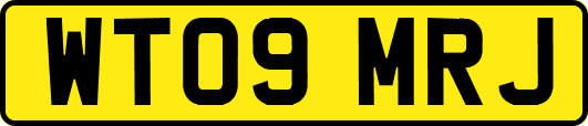 WT09MRJ