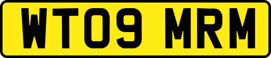 WT09MRM