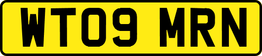WT09MRN