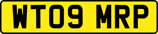 WT09MRP