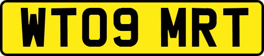 WT09MRT