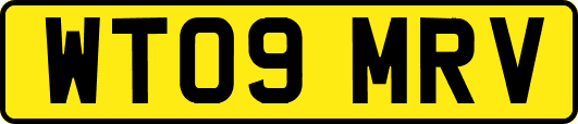 WT09MRV