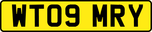 WT09MRY