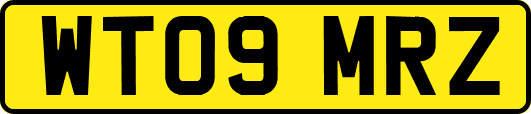 WT09MRZ