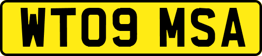 WT09MSA