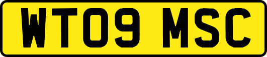 WT09MSC