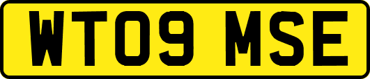 WT09MSE