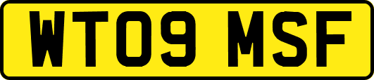WT09MSF