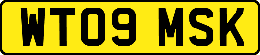 WT09MSK