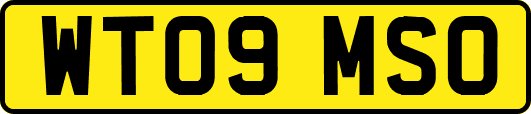WT09MSO