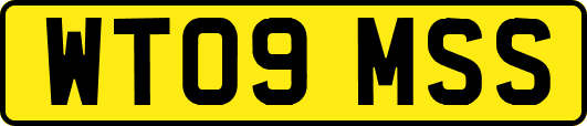 WT09MSS