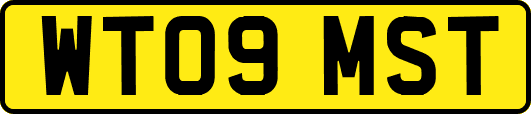 WT09MST