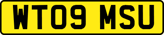 WT09MSU
