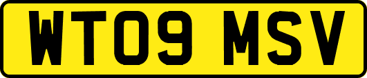 WT09MSV