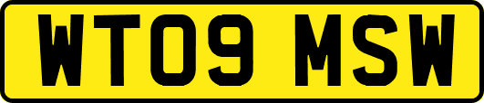 WT09MSW