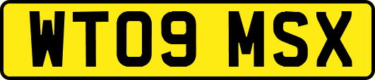 WT09MSX