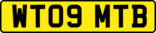 WT09MTB