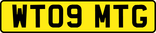 WT09MTG