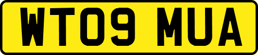 WT09MUA