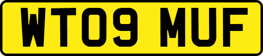 WT09MUF