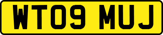 WT09MUJ