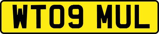 WT09MUL
