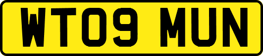 WT09MUN