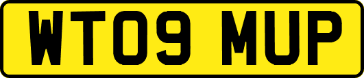 WT09MUP