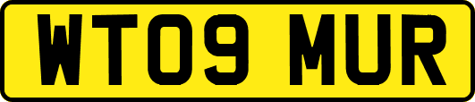 WT09MUR
