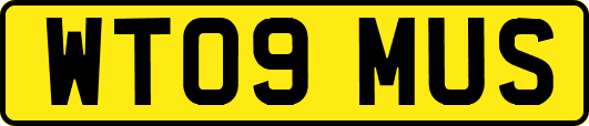 WT09MUS