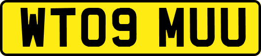 WT09MUU