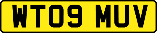 WT09MUV