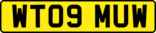 WT09MUW