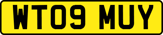 WT09MUY