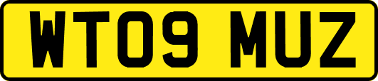 WT09MUZ