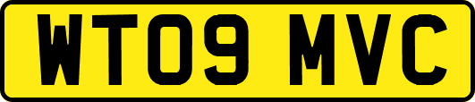 WT09MVC